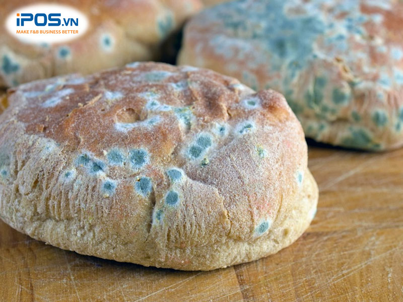 Thời tiết nồm ẩm sinh ra nấm mốc, lên men