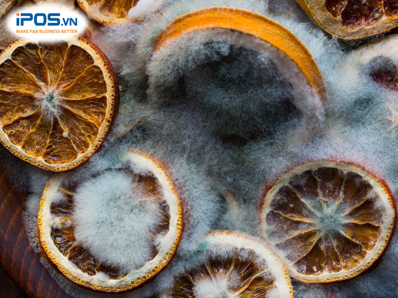 Hoa quả để ngoài rất dễ hỏng hóc gây ra thối rữa