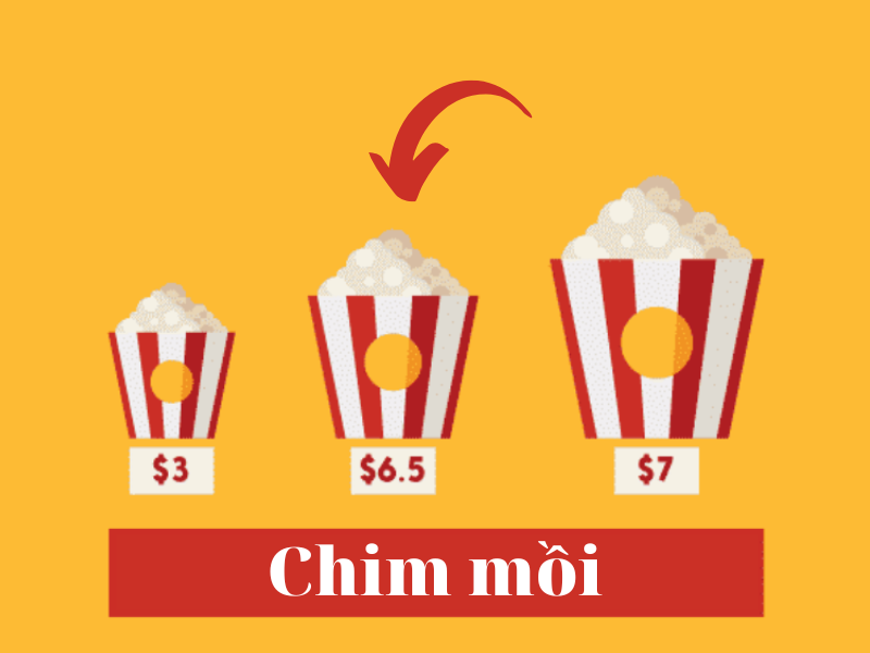 hiệu ứng hút khách