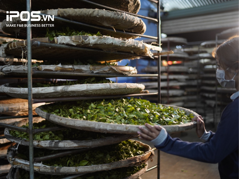 Phê La dùng trà Ô long đặc sản Đà Lạt làm nguyên liệu chính cho các món đồ uống