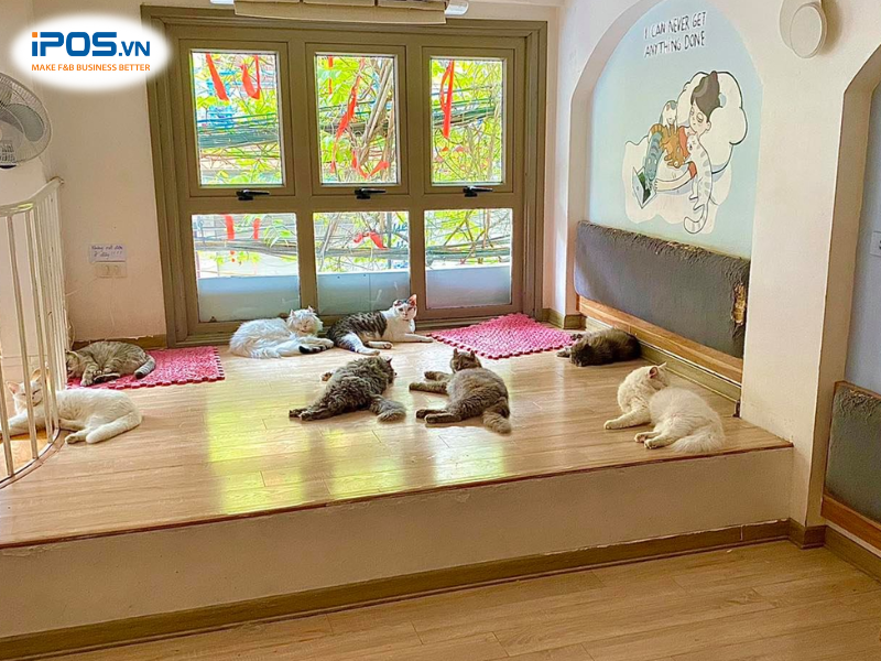 top-5-quan-cafe-thu-cung2