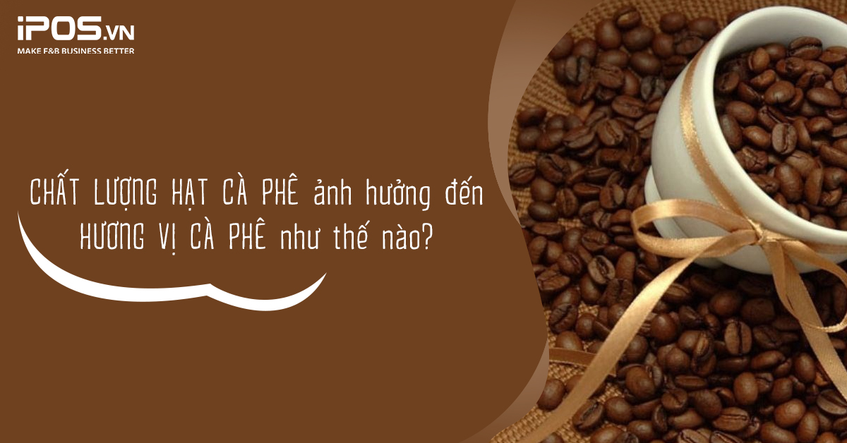 chất lượng hạt cà phê