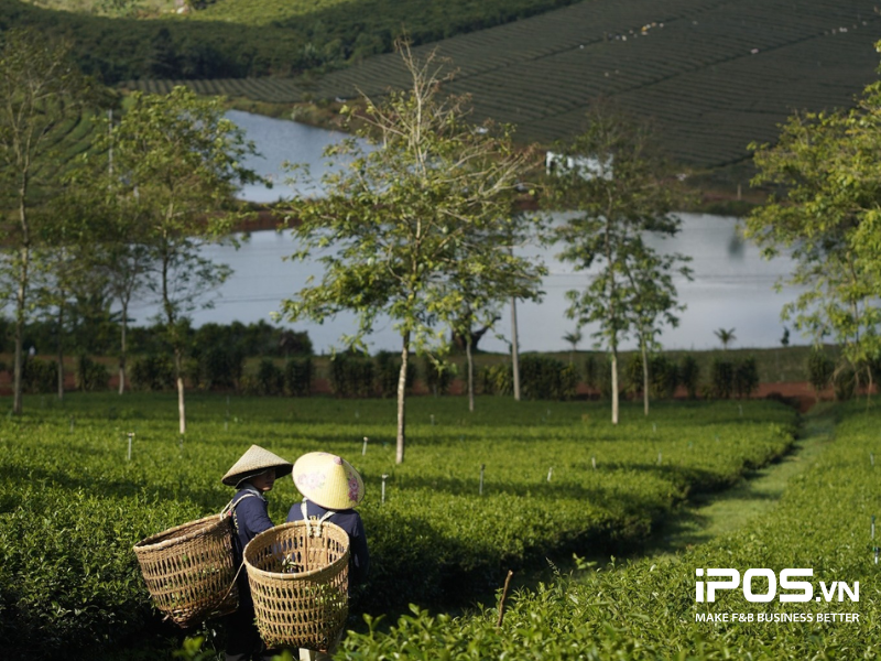 menu phê la uống gì ngon