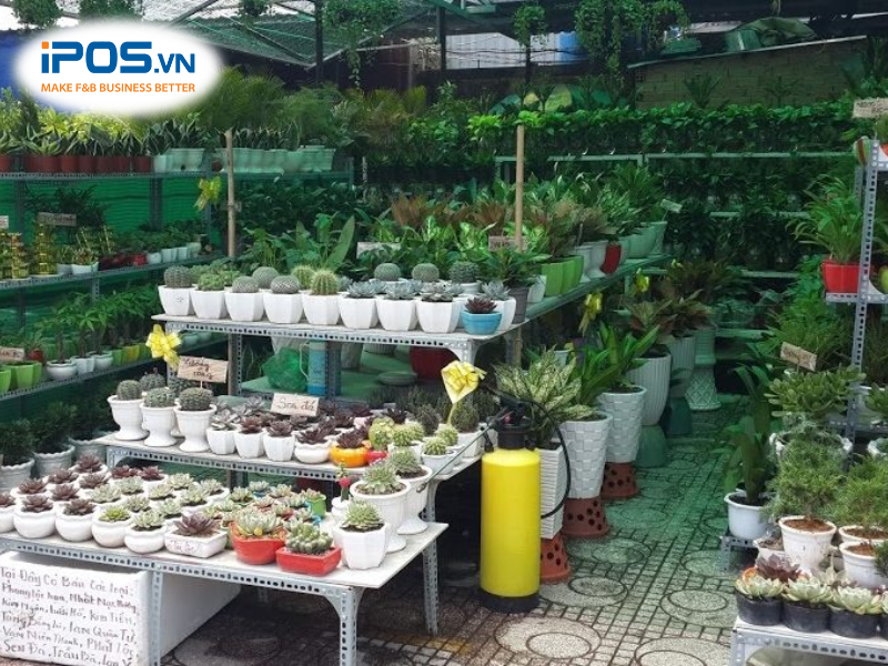 Kinh doanh gì ở nông thôn? Cách làm giàu ở nông thôn