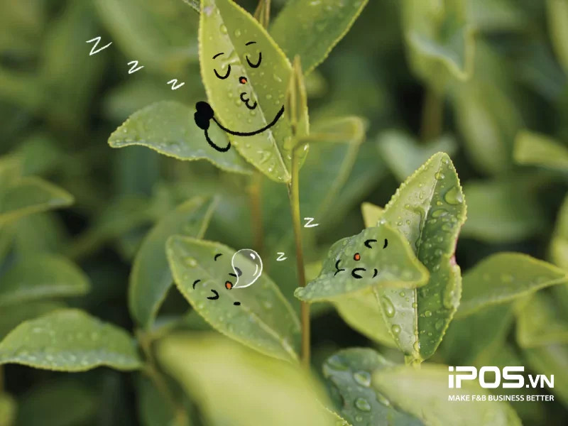 TVC của Phê La thu hút rất nhiều sự yêu mến từ phía khách hàng.